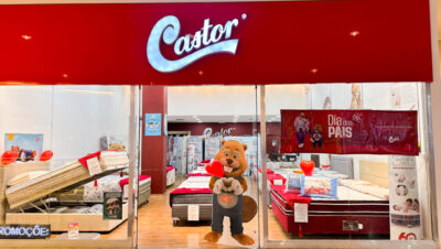 CASTOR